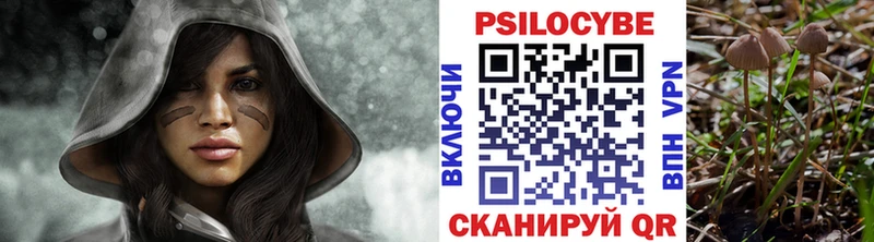 Галлюциногенные грибы GOLDEN TEACHER  Купить где  Искитим 